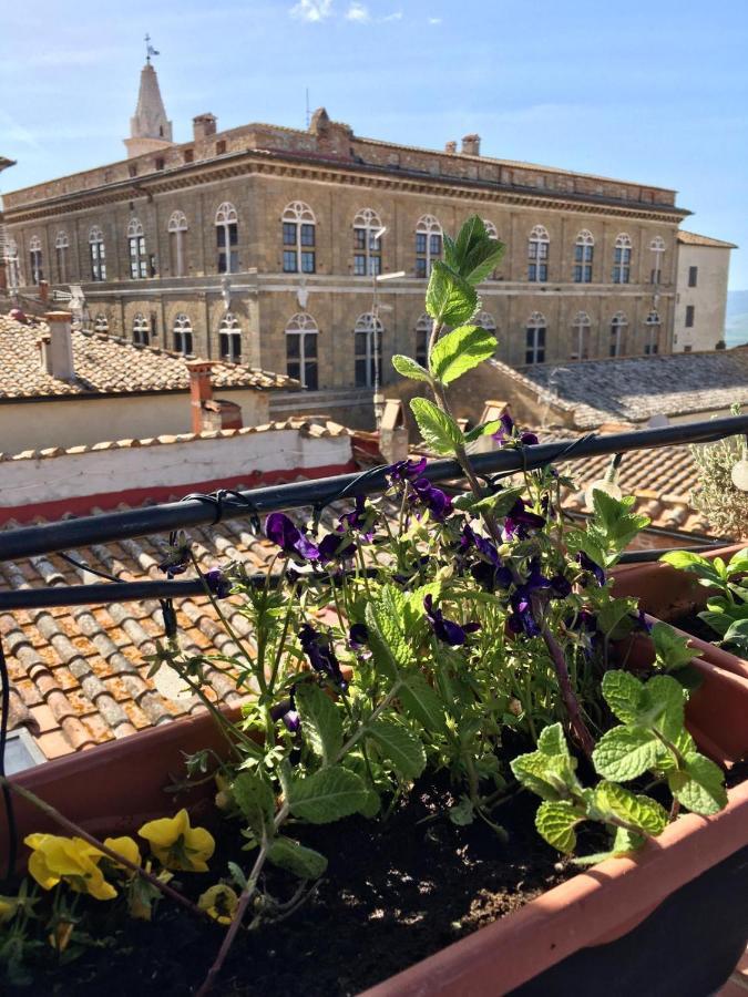 Il Giglio B&B Pienza Bagian luar foto