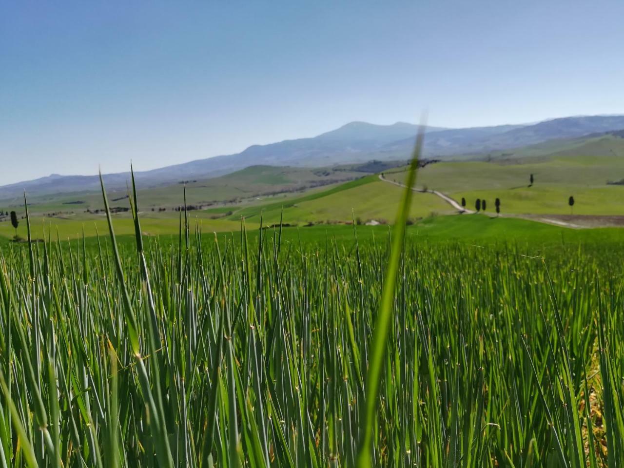 Il Giglio B&B Pienza Bagian luar foto